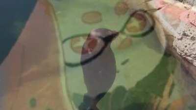 [OC MEME] Do you ever look at someone and wonder, what is going on inside their head?