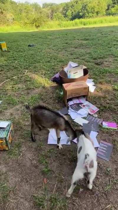 Someone suggested that this belongs here.