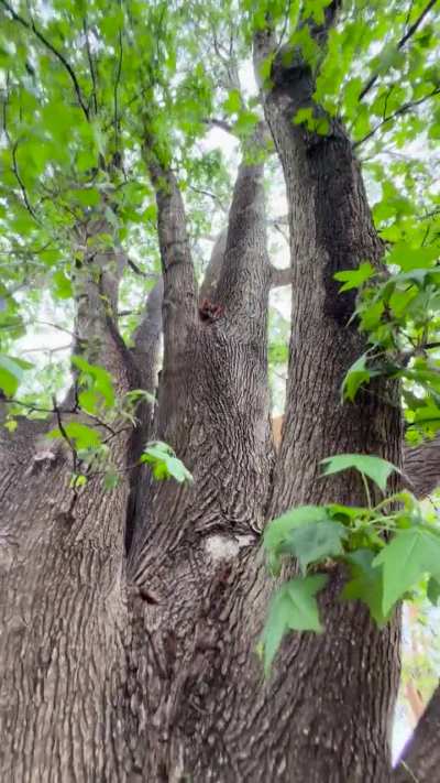 They both look very concerned!