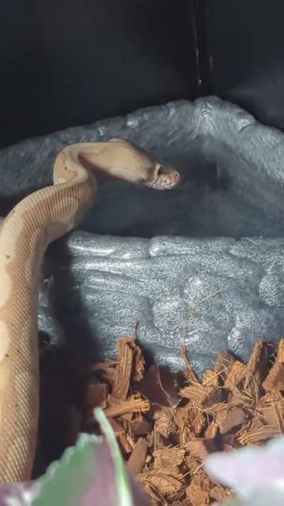 appreciating some fresh clean water 👌🏼