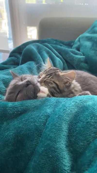 Anyone know what this is about?