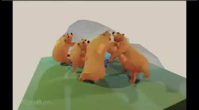 Grizzco Q&A 3: Ask me anything.