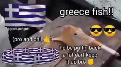 Greece fish στρόνκ 🇬🇷🇬🇷🗿🤤🥶🤬😡