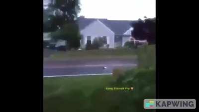 (Warning: Extremely loud. Viewers discretion is advised)