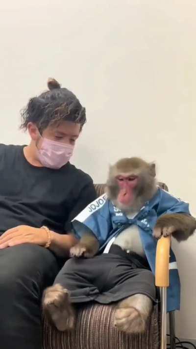 Monkey consoles a man having an emotional breakdown. 