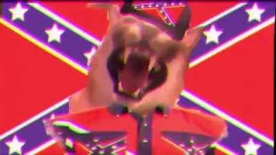 videomemes - Video #7800