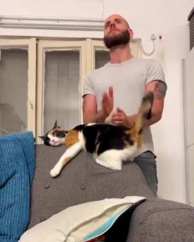 The cat enjoying it a lot