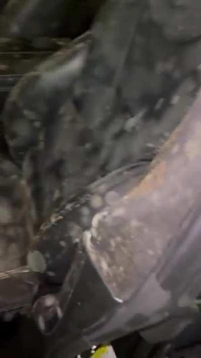 WCGW leaving car with doors locked for a month with damp interiro