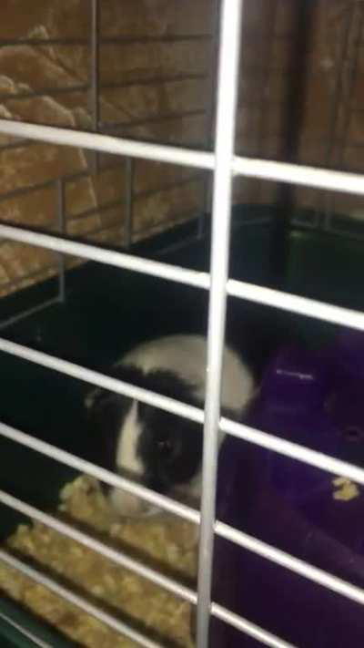 Why is she doing that?