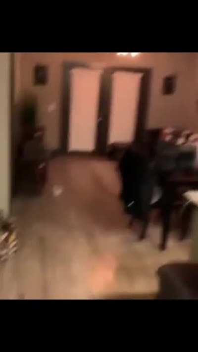 Dog not impressed by twerk dance