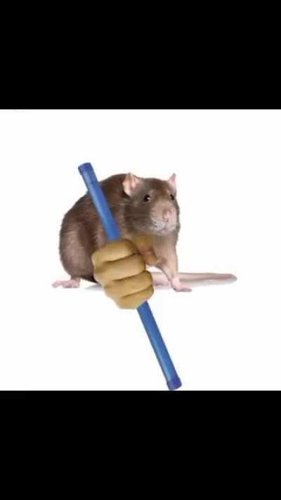 AAAAAAAAA ... aaaaaaa