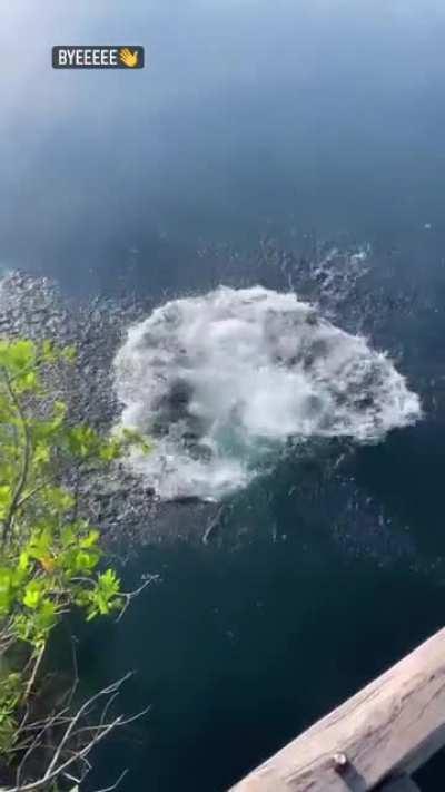 Elisha topless story