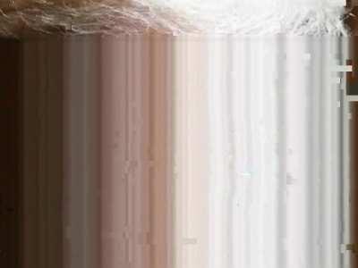 Mogging people daily