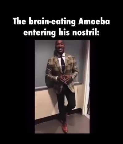 They are most commonly found in warm waters.