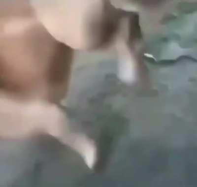 Vengo a dejar esta joyita