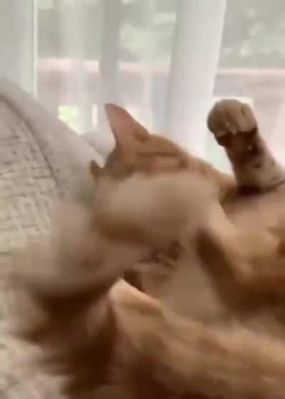 Demons fighting over controll