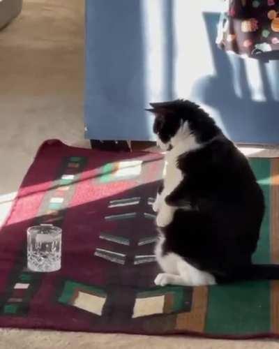 Бодрое начало нового года!