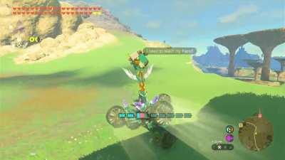 [TOTK] This is my final Korok... so I'm sending him to hell where he belongs