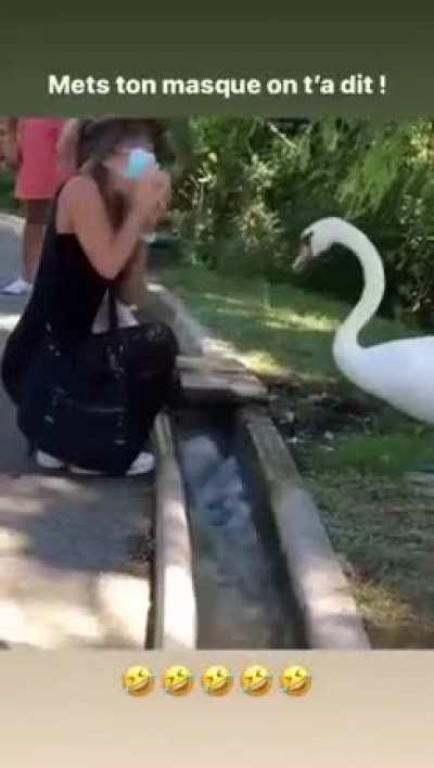 It puts the mask on its face or it gets the goose again