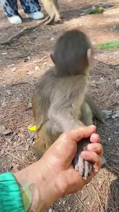 You're not my father