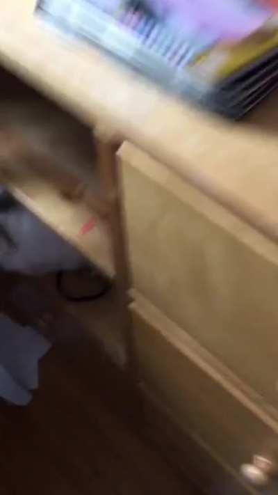 Mixing up flash card studying technique