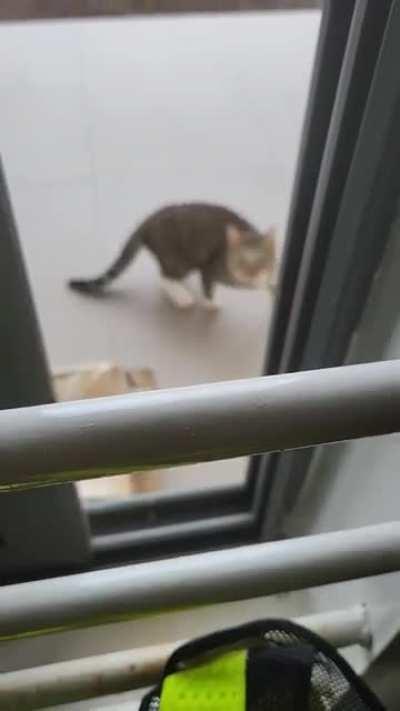 Lost alertness due to rain watching...