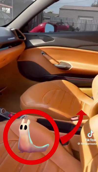 what is survivor yapping about?