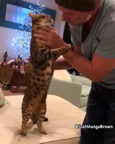 For people who say cats are not affectionate