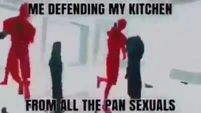 I never understood why pansexuals like pans so much.