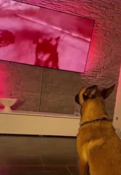 not sure he wants to keep playing this game