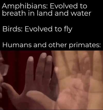 Opposable thumb moment