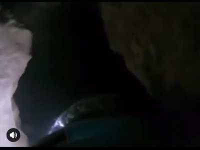 Iraqi SOF K-9 dog gets shot at by isis member who was hiding in a cave in Himreen mountains,2025.