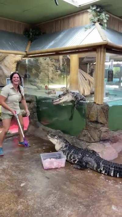 The crocodile didn't want meat, he wanted her leg
