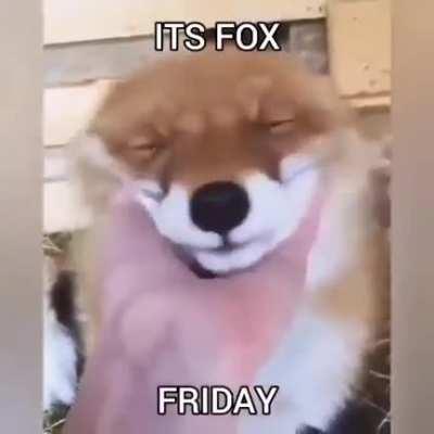 Happy fox friday!