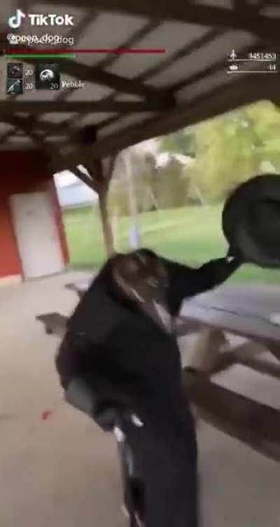 Rare bloodborne gesture