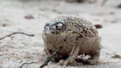 Best of Drachenlord Reddit Adventskalender -Türchen 16-