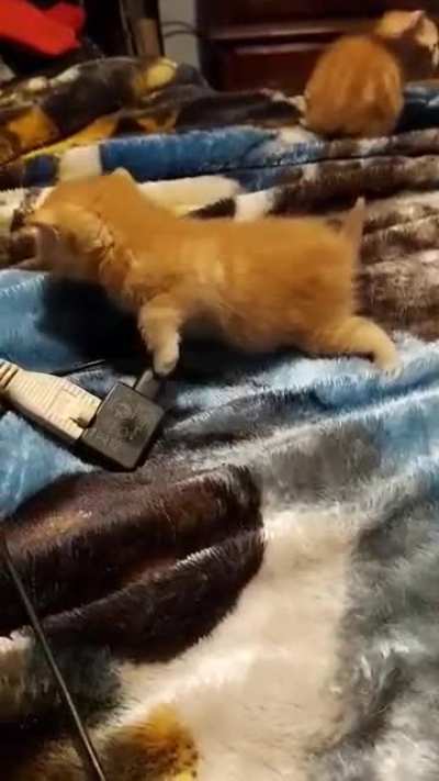 This is special Fred. He likes to explore