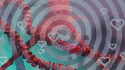 From Man To Mermaid: Feminization Hypnosis