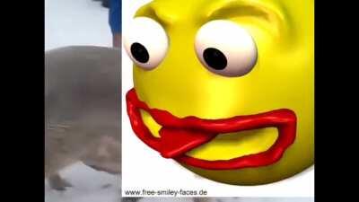 🚫Haram-Vidio🚫كلمات عشوائية مضحكة فيديو سبونجبوب😂😂🐽🐖 كلمات عشوائية مضح pork فيديو سب🤫