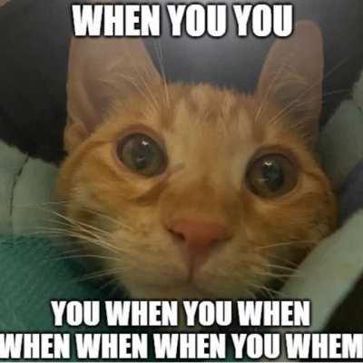 Jambo has an important announcement to make