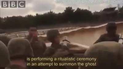 North American Mammal