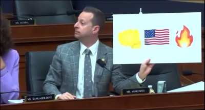 Jamie Raskin and Jared Moskowitz trolling the cabinets signal chat