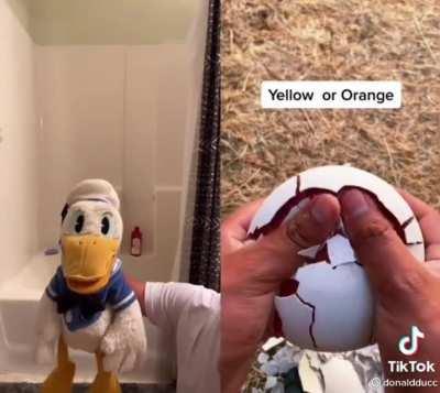 DonaldDucc screaming