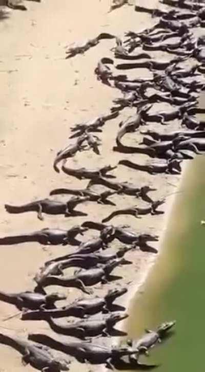 Dangerous beach in brasil