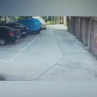 Now, this is a Classic