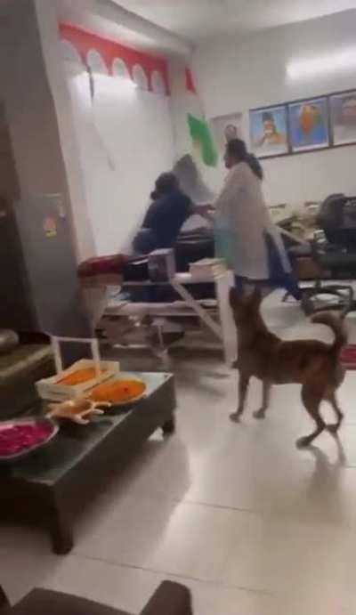 How you should actually deal with your tangerine turd parents and family members. (Found this on Twitter)