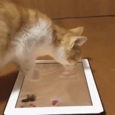 Tsumiki sipped at an iPad