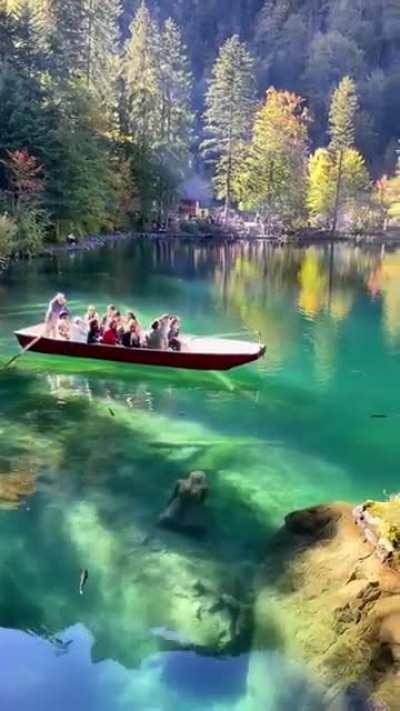 Spring,🌱 Summer☀️, Autumn🍂, or Winter? ☃️