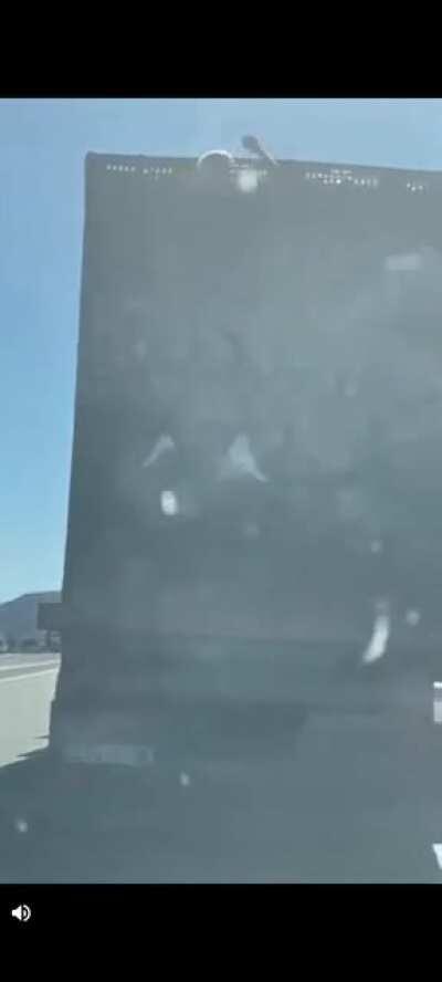 That's the craziest, riskiest but most creative way to steal an orange!