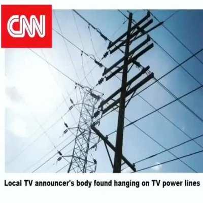 It's persona 4 week boys... IDK what's going on but everyone is posting memes from the best persona game